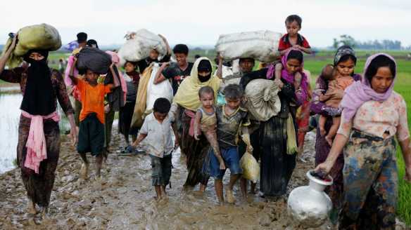 pengungsi rohingya
